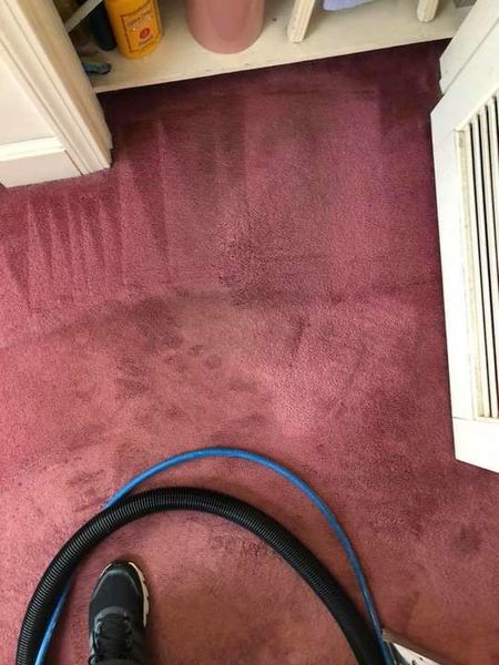 Carpet Cleaning in Wilmington, MA (1)