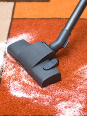 Carpet odor removal in Kingston by Certified Green Team