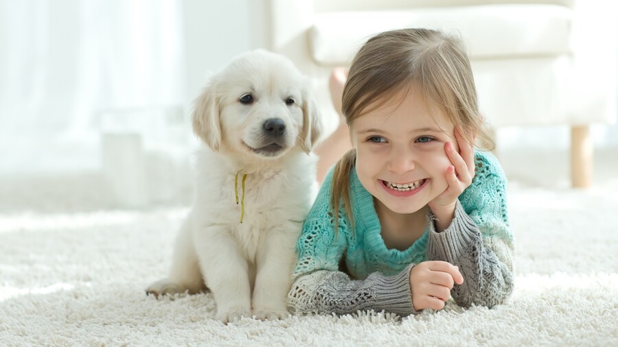 Area rug cleaning by Certified Green Team