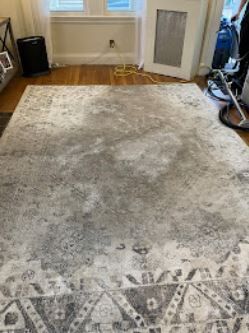 Before & After Rug Cleaning in Boston, MA (1)