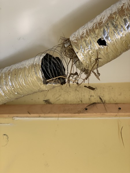 Duct Removal in Lawrence, MA (1)