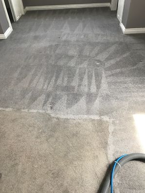 Before & During Carpet Cleaning in Brighton, MA (2)