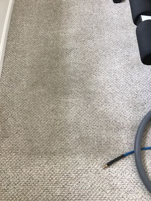 Before & After Carpet Cleaning in Boston, MA (1)
