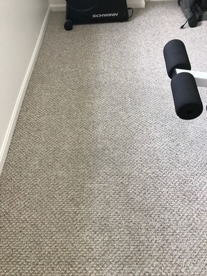 Before & After Carpet Cleaning in Boston, MA (2)
