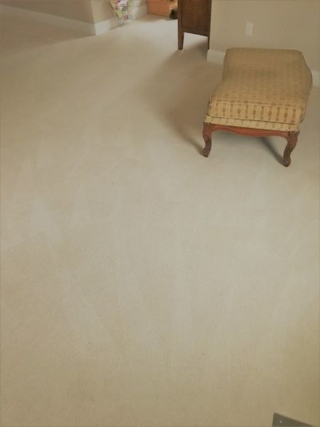 Carpet Cleaning in Brighton, MA (1)