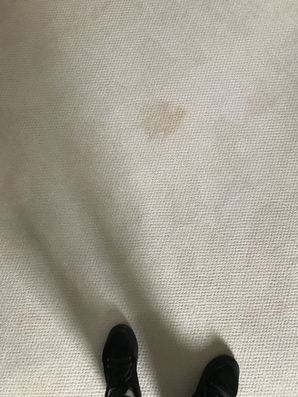 Before & After Carpet Stain Removal in Roslindale, MA (1)