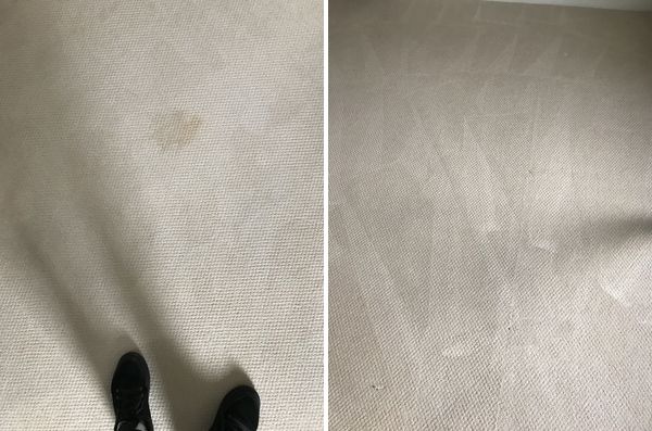 Carpet stain removal by Certified Green Team